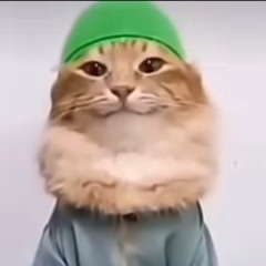 Smeshnoi BJEDUG
