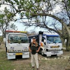 Joen Bintang