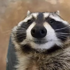 AJ