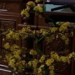 Nguyễn Văn Ánh