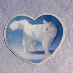 𝙘𝙤𝙢𝙛𝙮.