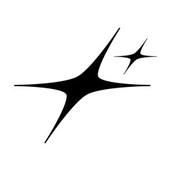 fly