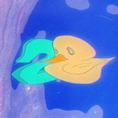 SECOND DUCK