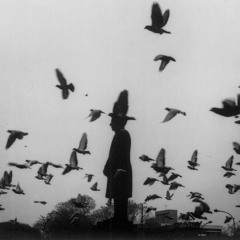 Understandingacarcrash