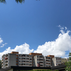 TomTauak