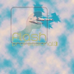 flash professional3