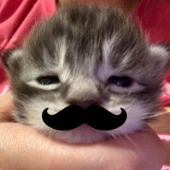 こくしね