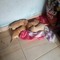 Iury Marco