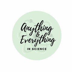 Anything&Everything