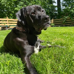 Sleep Token - The Apparition Vocal Cover