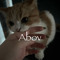 fromabov_