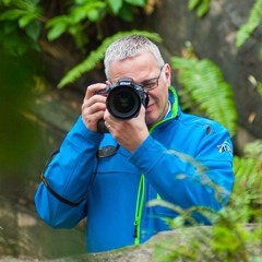 Peter Int Groen