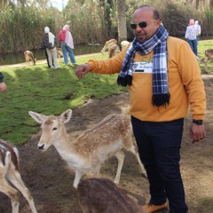 ahmed medo