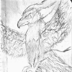 Sebastian Geisselhart