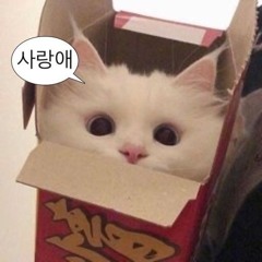 결