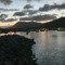 DW NZ