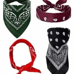 BANDANA REPUBLICANS