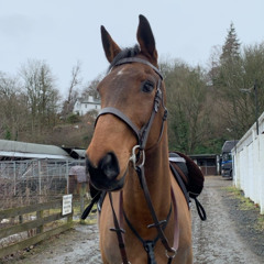 Faith Mackay 🥰