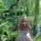 0cottege_fairy0