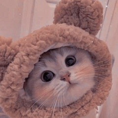 imkdrmr