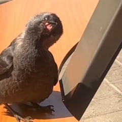 ЛЮБИМЫЙ ПЛЕЙЛИСТ 2