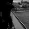 pawlak