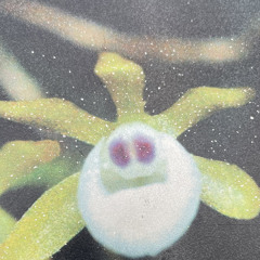 capamera