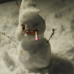 ll Gnome lI