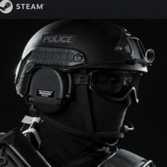 LSPD POLICE READY OR NOT