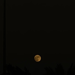 A.