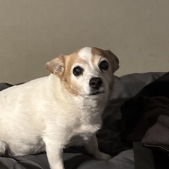 Ricky and the Juju Keys