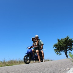 laughingponcho & the lion