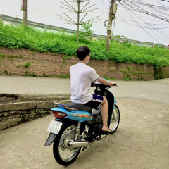 Đinh Trường Vũ