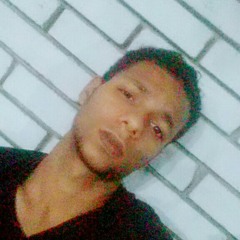 Mohamed Abdelnasser