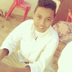 يوسف الفاتح يوسف