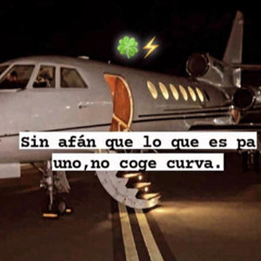 gallego🍀
