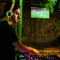 DJ_EMMA