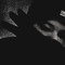 ARCRUX