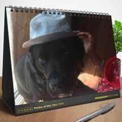 Untitled Playlist
