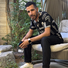 Ahmed Mahmoud Shahin