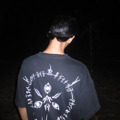 willxlm