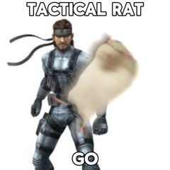 OCEOLO996