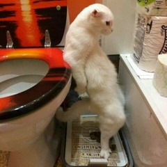 Iidx