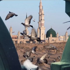 هَالة مُحمّد