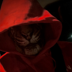 TigerXtm