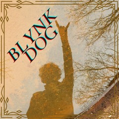 Blynk Dog