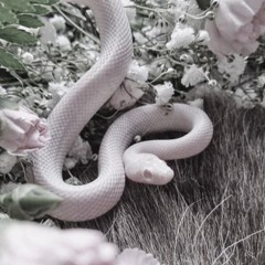 下衆野郎⁷⁷⁷