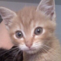 Мария Вячеславовна