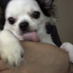 좋아하는숫자는11