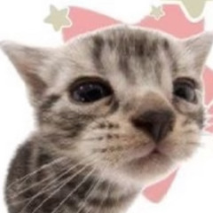 kreamiekittie